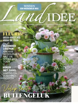 Landidee - 04 2025