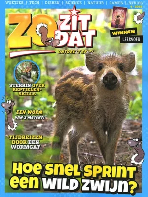 Zo zit dat - 04 2025