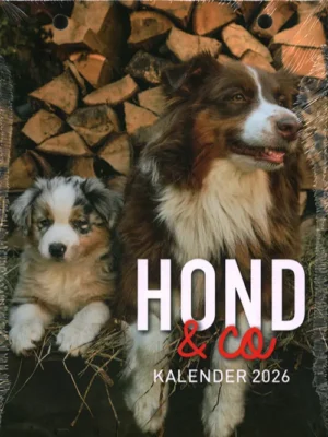 Hond & Co Kalender - 2026