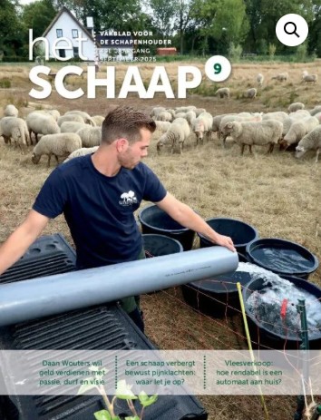 Het Schaap