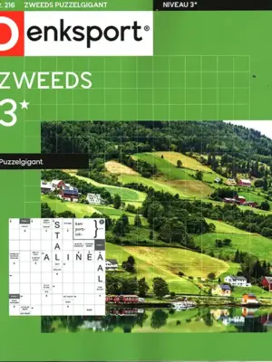 Denksport Zweeds Puzzelgigant - 216 2026