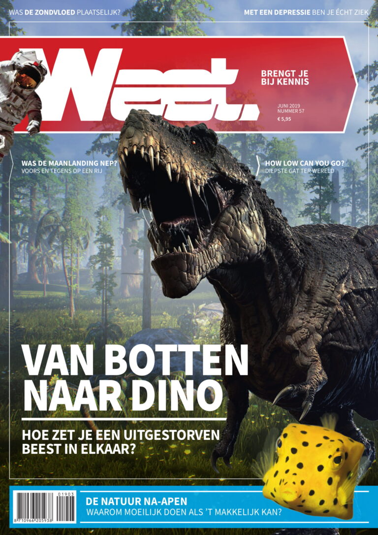 Weet Magazine
