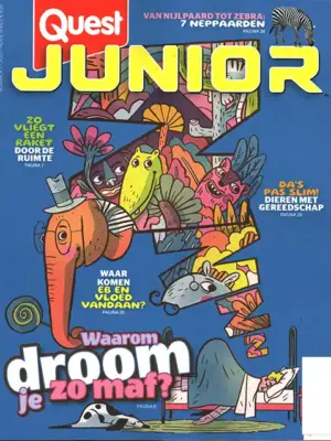 Quest Junior - 05 2026