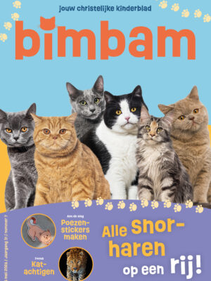 BimBam abonnement