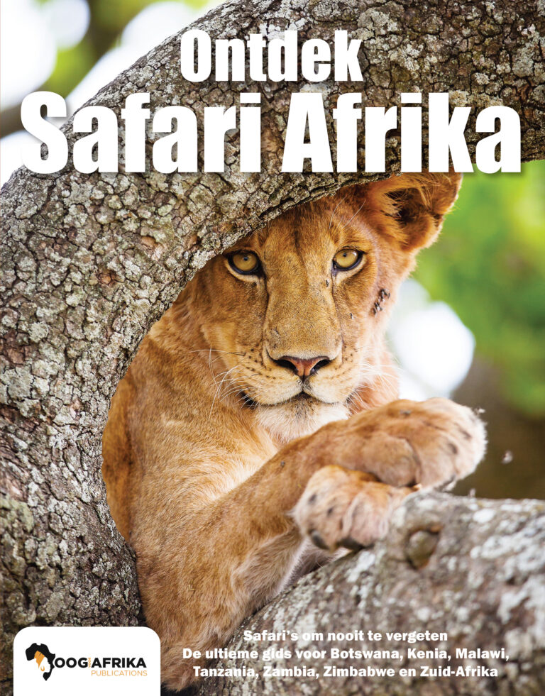 OOG voor Afrika