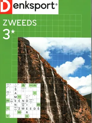 Denksport Zweeds - 3* 453 2026