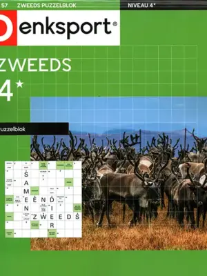 Denksport Zweeds Puzzelblok - 57 2026