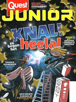Quest Junior - 07 2026