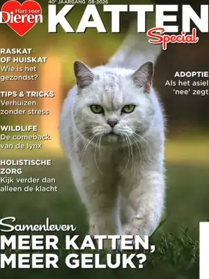 Hart voor Dieren Katten Special - 08 2026