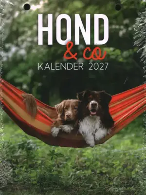 Hond & Co Kalender - 2027
