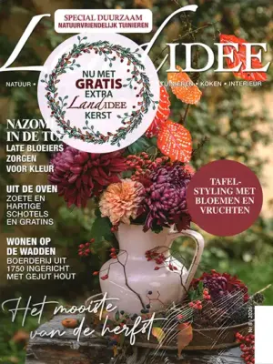 Landidee - 08 2026